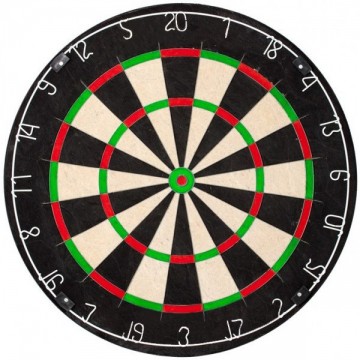 Sharkprodartboardleeg11