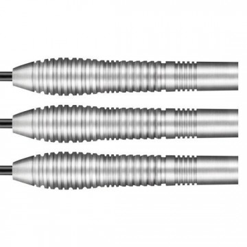 Shot birds of prey kestrel 80 2