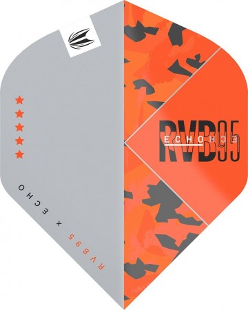 Target player raymond van barneveld echo std 1