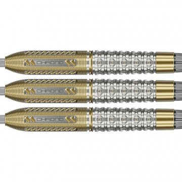 Target raymond v barneveld chrono 95 swiss 1