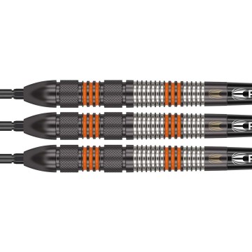 Target raymond van barneveld black 80 swiss 1