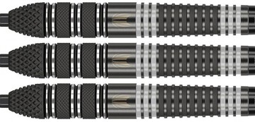 Target raymond van barneveld echo 95 swiss