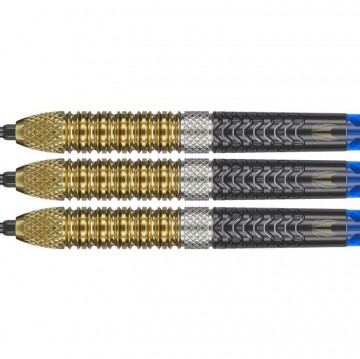 Target raymond van barneveld g6 95 swiss 2